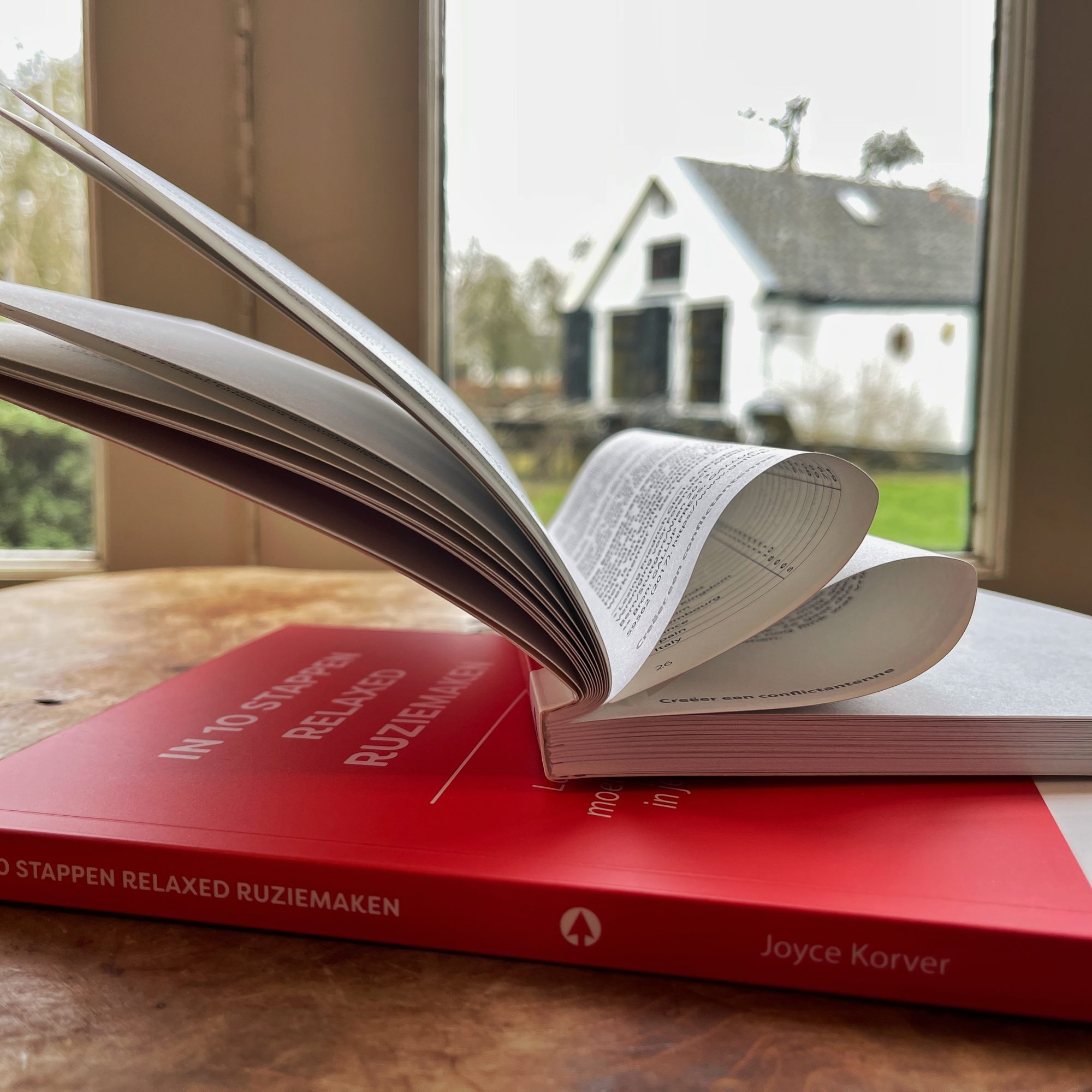 Het boek In 10 stappen Relaxed Ruziemaken
